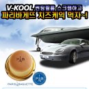 썬팅파티 이미지
