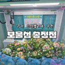 보물섬 뽑기방 네이버블로그