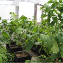 왈츠와 닥터만 커피박물관 이미지