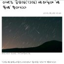 김명자낙지마당 이미지