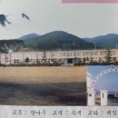 화순오성초등학교 이미지