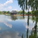 성흥농원 이미지