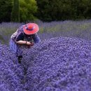 남부농장 이미지