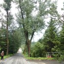 중사목장 이미지