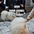 겨울이머무는집 네이버블로그