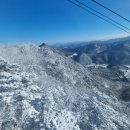 12/17일 완주 곶감축제 대둔산 이모고모 이미지