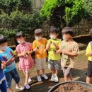 오태초등 병설 이미지