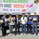 곰도리 이미지