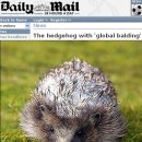 보들보들 이미지