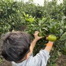 대한농장 이미지