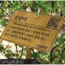 가연디자인 이미지