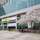 대구 북구 대불서길 4 이미지