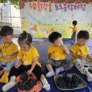 약대농장 이미지