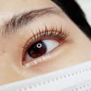 제이블리뷰티 - 21356 | 제이블리뷰티