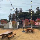 미르반점 이미지