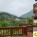 평사(여) Daum카페