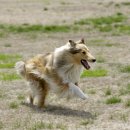 한국동물병원 이미지