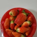 솔빛농원
