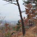 장학리노루목길(봄내길 8코스) 이미지