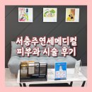 연세메디칼의원 | 하루만에 효과보는 서충주연세메디컬 피부과 시술 후기 (전후사진 주의)