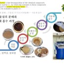 육수액비(골분과 어분 발효액비)의 효과와 발효법 이미지