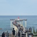 see more sea A | [포항 이가리닻 전망대] 동해바다 위를 걷다! 인생샷 명소, 지금 바로 방문!