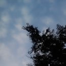 동상산촌생태마을