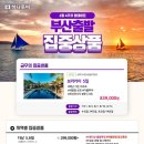 다미투어주