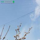 곡촌농장 이미지