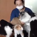 진규농장 이미지