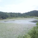 소들목장 이미지
