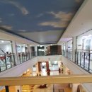 안중솔라스파 이미지