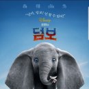 덤보 네이버블로그