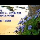 해 국(海菊) (기다림은 청 보라 빛 ) 이미지