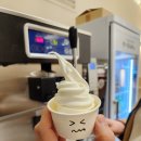 834 | 깨끗하고 환한 강릉교동택지 고깃집 [마늘양념소갈비 강릉육미 본점] 완전 맛있어!
