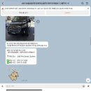 스타브릿지파트너스 | 시드니 블루마운틴 투어 내돈내산 후기 (할인쿠폰, 꿀팁 공유, 패더데일 동물원, 블루마운틴, 선셋, 별...