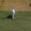 밀양 노벨컨트리클럽 이미지