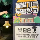 라탄 공예(야간) | 부평향교에서 만난 전통과 공예의 만남 라탄 전등갓 체험 후기