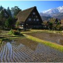 소망부동산공인중개사사무소 이미지