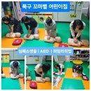 별샘어린이집 이미지