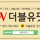 더블유핏