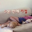 진솔민박 이미지