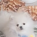 키멍 이미지