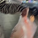 금성로2(서) 이미지