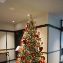 대전천변 공중화장실 | 대전 유성 온천 숙소 낙원온천호텔 객실 스파