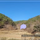 고성부동산중개사무소 이미지