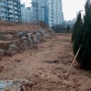 양지-3120 이미지