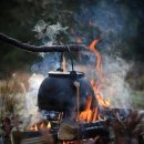 허궁다리 이미지