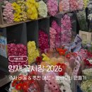 스칸디아모스 카네이션 바구니 만들기 | 양재 꽃시장 주차 / 꽃 가격 / 추천 매장 2026: 직접 꽃바구니 만들기 후기