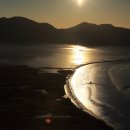 순천만습지 이미지